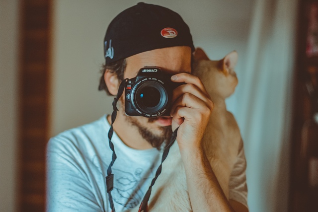 19 Dicas para Fotografar seu Gato como um Profissional